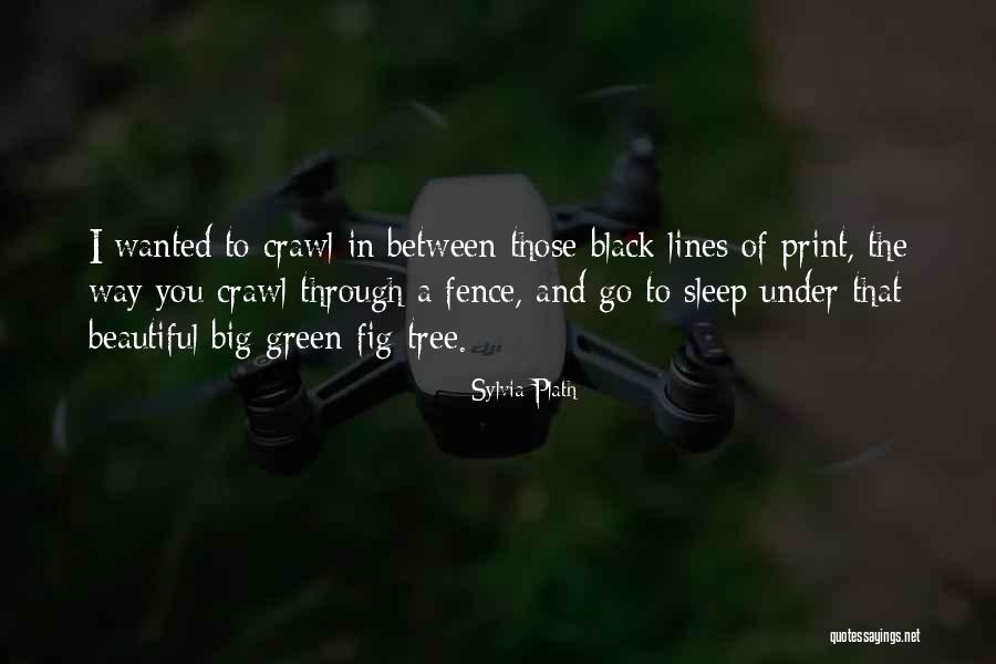 Banchetto Nanuet Quotes By Sylvia Plath Banchetto Nanuet Quotes By Sylvia Plath
