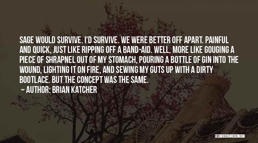 Band Aid Quotes By Brian Katcher