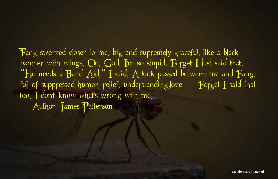 Band Aid Quotes By James Patterson