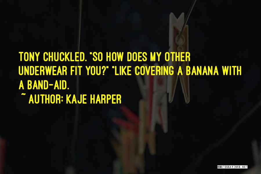 Band Aid Quotes By Kaje Harper