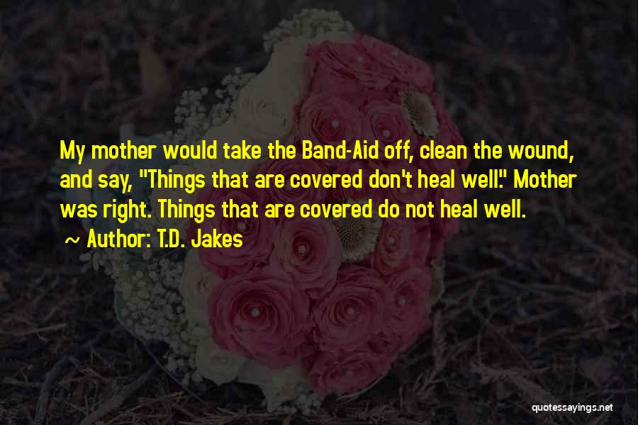 Band Aid Quotes By T.D. Jakes