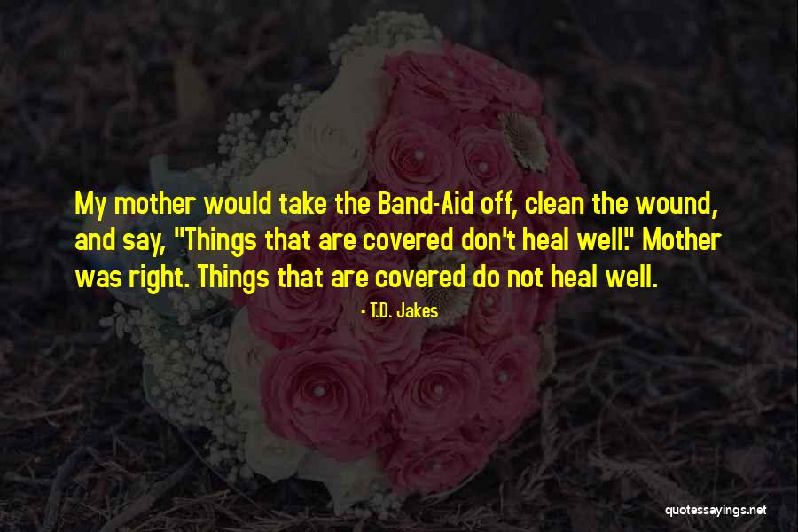 Band Aid Quotes By T.D. Jakes