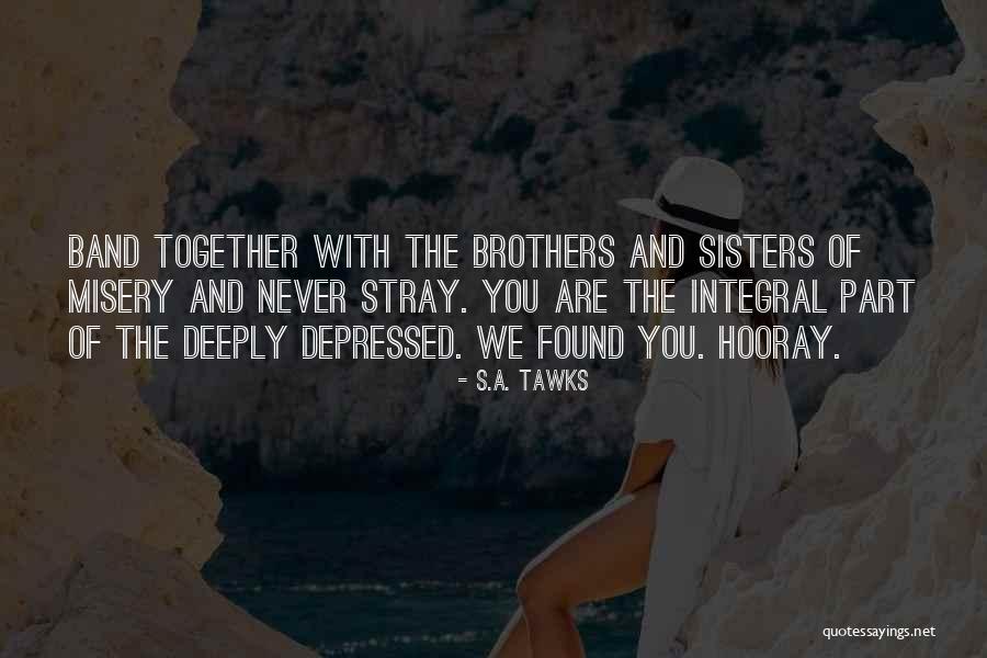 Band Of Brothers Quotes By S.A. Tawks