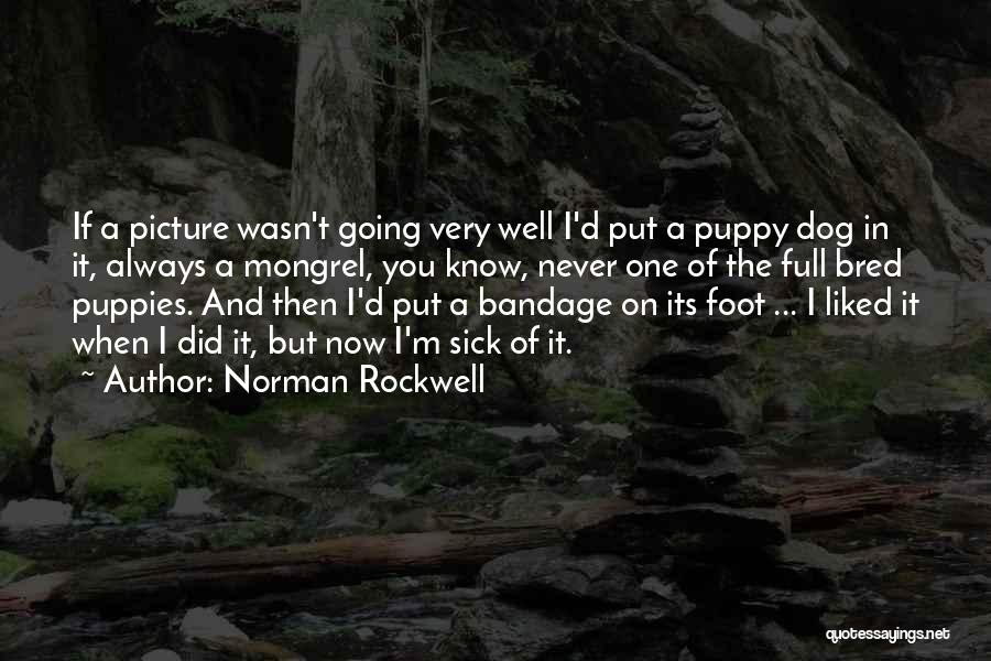 Bandage Quotes By Norman Rockwell