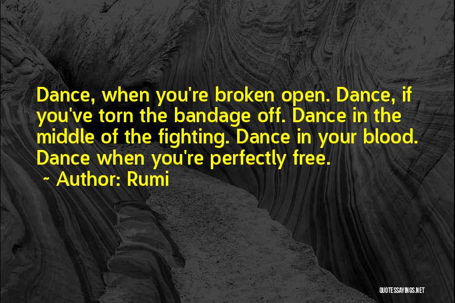 Bandage Quotes By Rumi