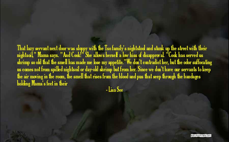 Bandages Quotes By Lisa See