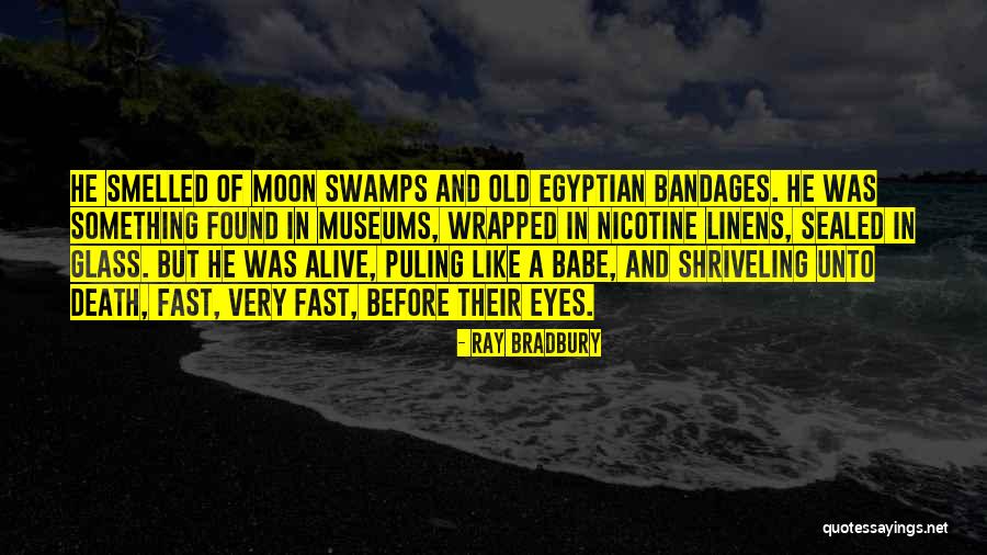 Bandages Quotes By Ray Bradbury