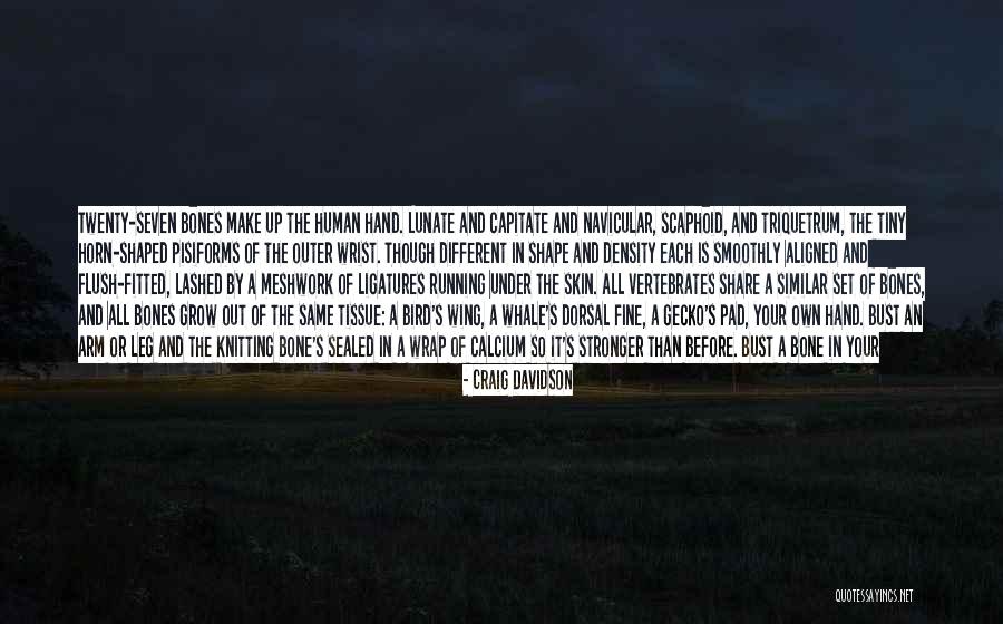 Banden De Conde Quotes By Craig Davidson Banden De Conde Quotes By Craig Davidson