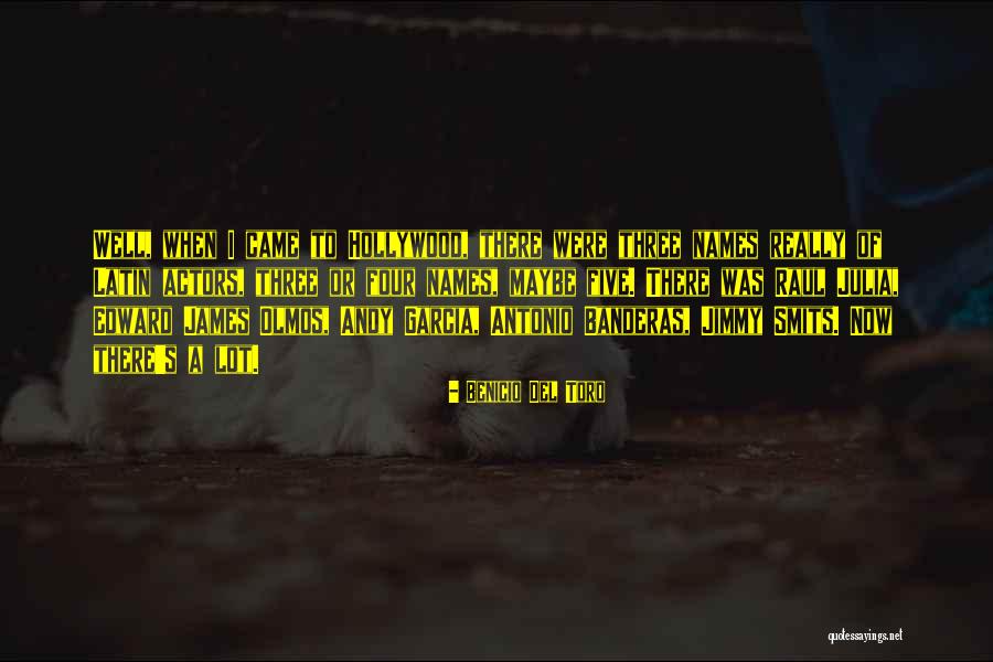 Banderas Del Quotes By Benicio Del Toro Banderas Del Quotes By Benicio Del Toro