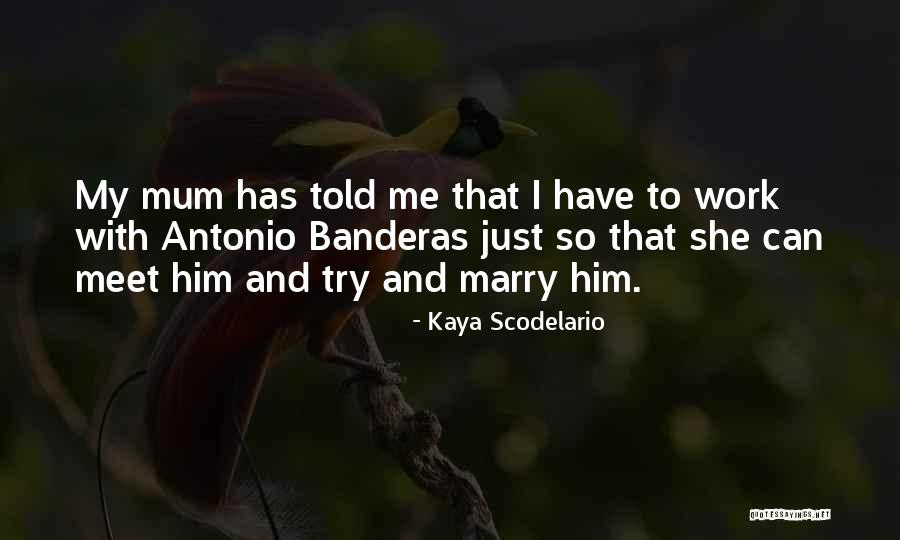 Banderas Quotes By Kaya Scodelario Banderas Quotes By Kaya Scodelario