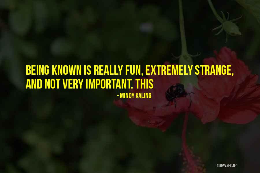 Bandini Canyon Quotes By Mindy Kaling Bandini Canyon Quotes By Mindy Kaling