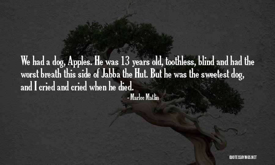 Bandini Quotes By Marlee Matlin Bandini Quotes By Marlee Matlin