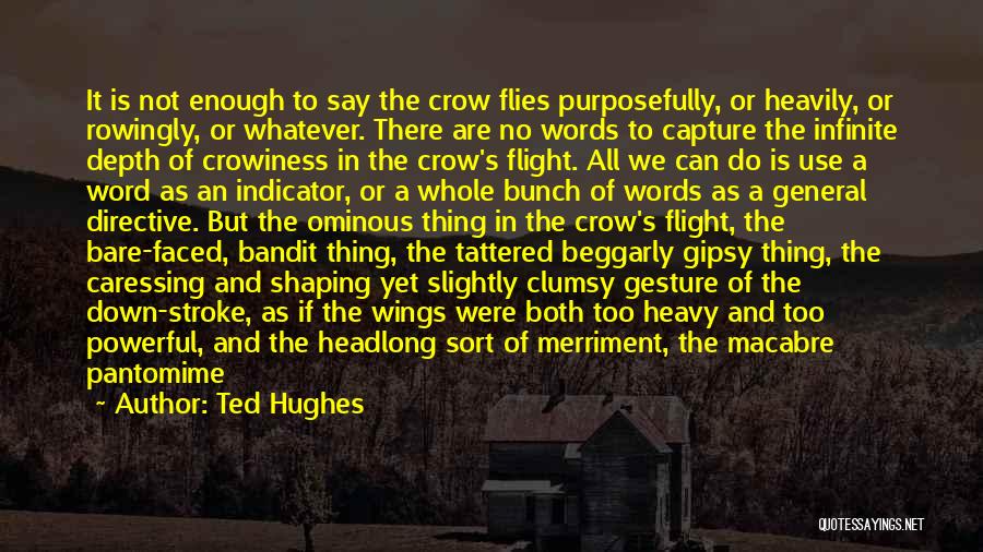 Bandit Quotes By Ted Hughes