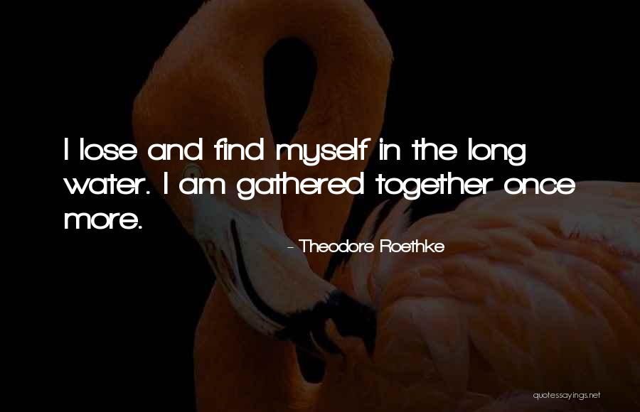 Bandolino B Flexible Shoes Quotes By Theodore Roethke Bandolino B Flexible Shoes Quotes By Theodore Roethke