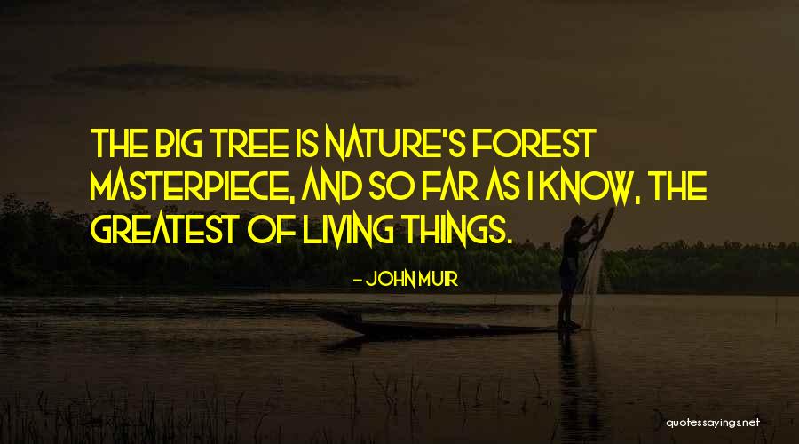 Bandy Legged Beauty Quotes By John Muir Bandy Legged Beauty Quotes By John Muir
