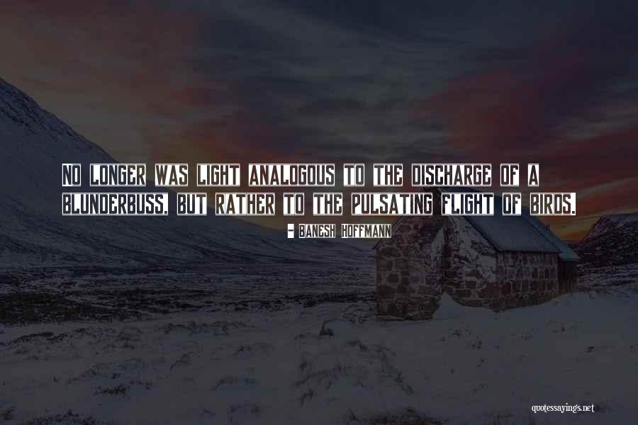 Banesh Hoffmann Quotes 1195369 Banesh Hoffmann Quotes 1195369