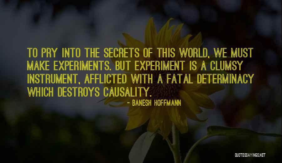 Banesh Hoffmann Quotes 1797414 Banesh Hoffmann Quotes 1797414