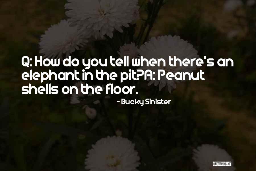Bangau Oh Quotes By Bucky Sinister Bangau Oh Quotes By Bucky Sinister