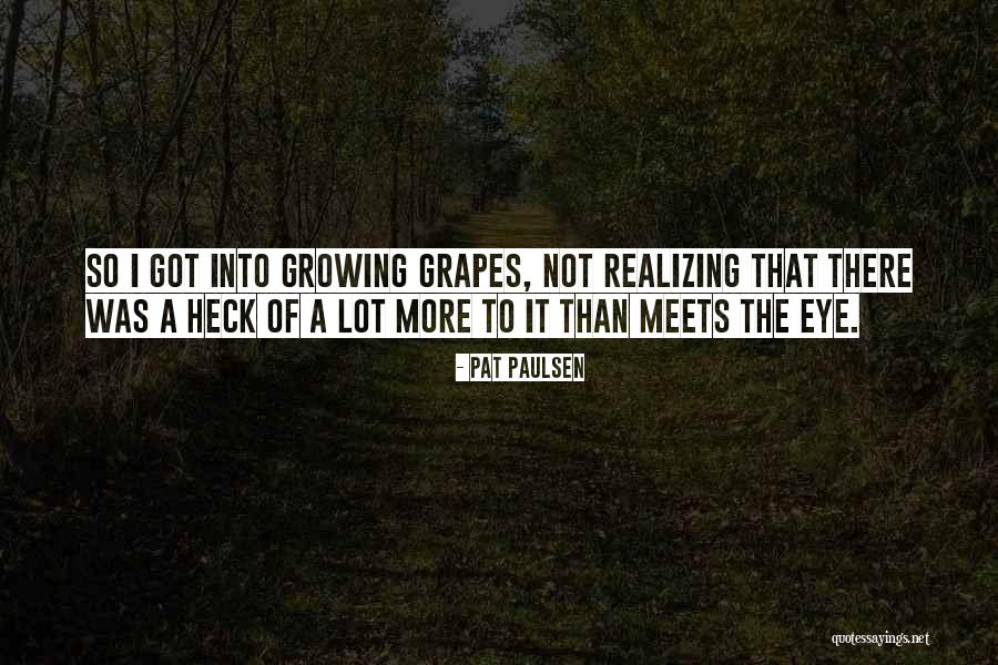 Bangerang Quotes By Pat Paulsen Bangerang Quotes By Pat Paulsen