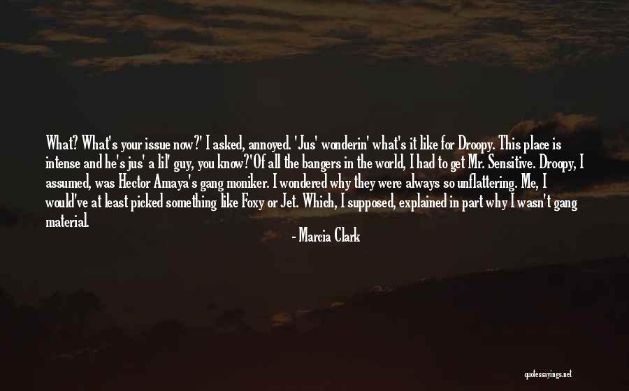 Bangers Quotes By Marcia Clark Bangers Quotes By Marcia Clark