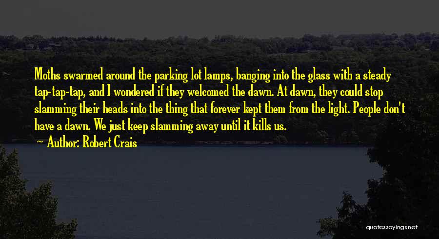 Banging Quotes By Robert Crais