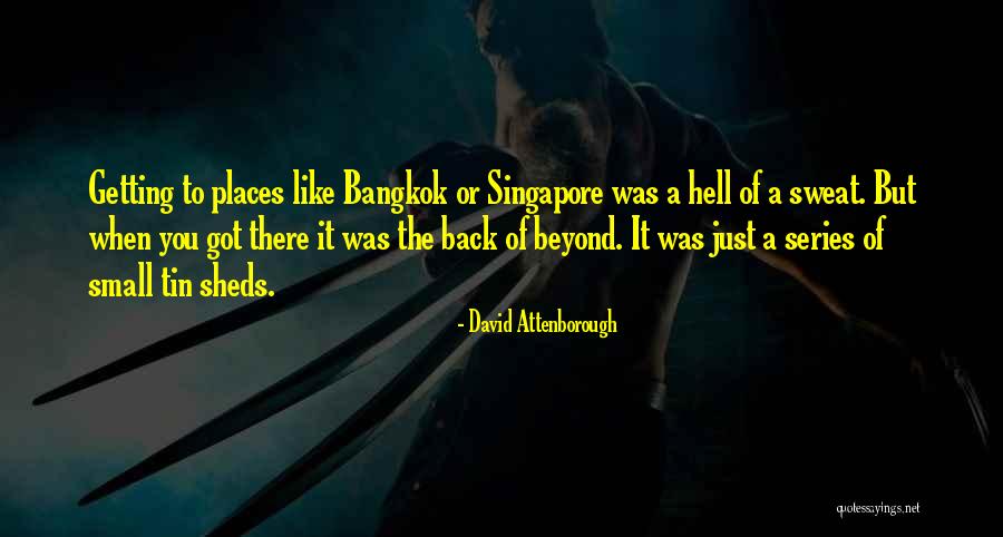 Bangkok 8 Quotes By David Attenborough