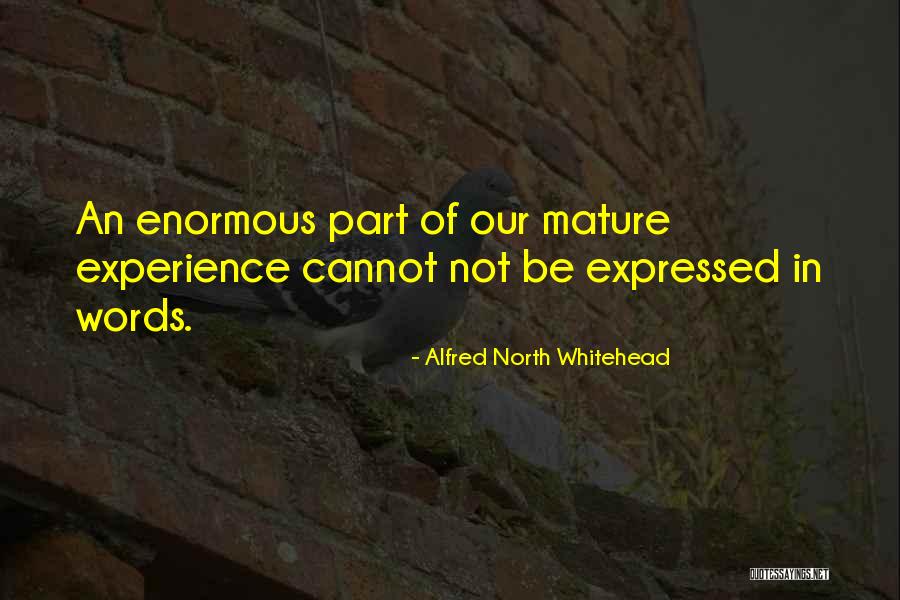 Banias Nature Quotes By Alfred North Whitehead Banias Nature Quotes By Alfred North Whitehead