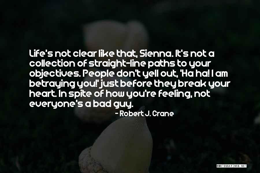 Banicke Quotes By Robert J. Crane Banicke Quotes By Robert J. Crane