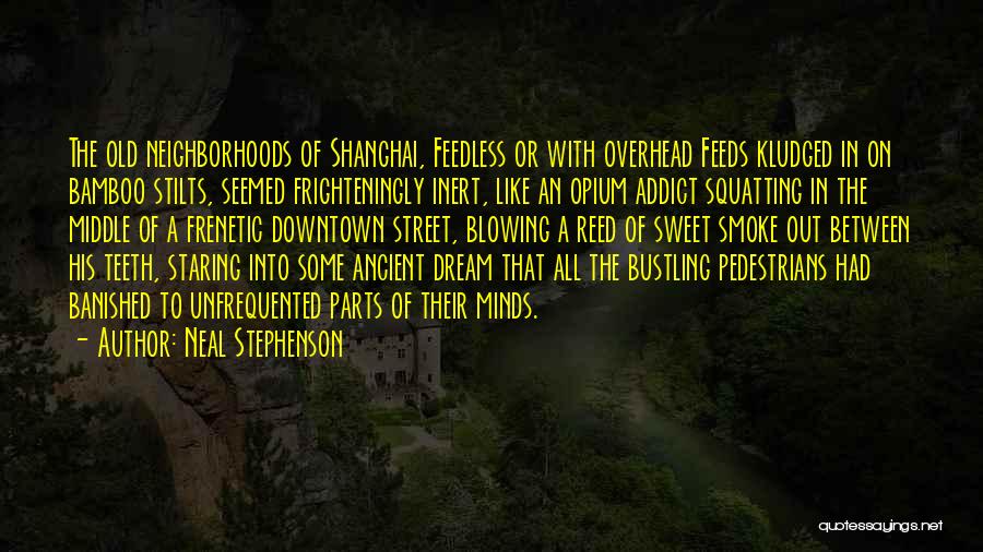 Banished Quotes By Neal Stephenson