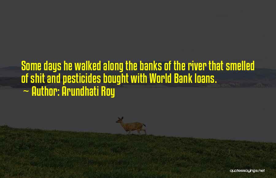 Bank Loans Quotes By Arundhati Roy