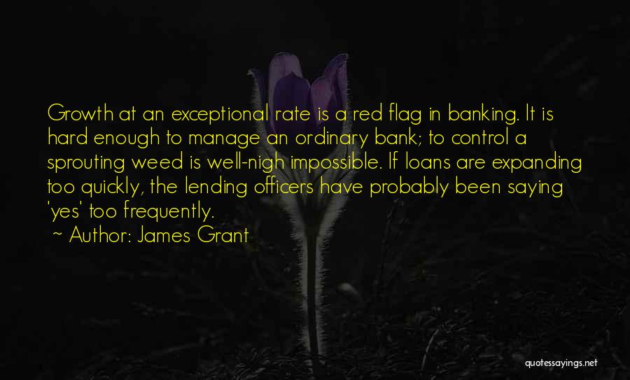 Bank Loans Quotes By James Grant