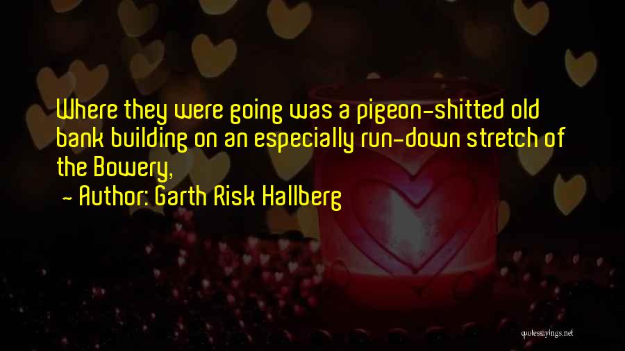 Bank Quotes By Garth Risk Hallberg