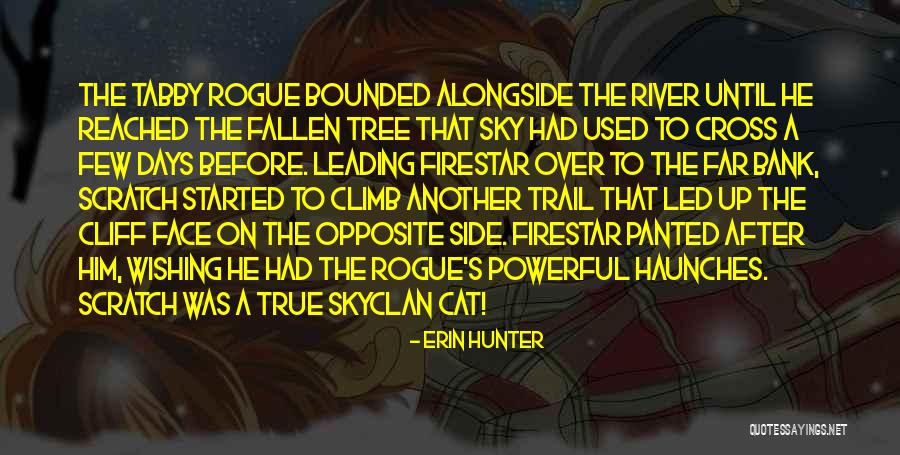 Bank Was Quotes By Erin Hunter Bank Was Quotes By Erin Hunter