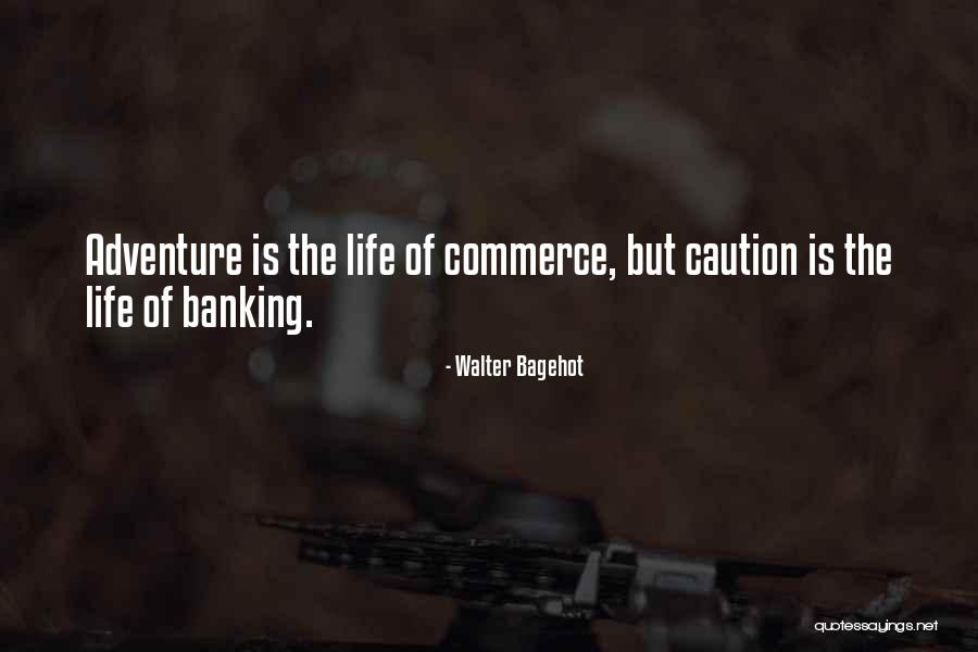 Banking Quotes By Walter Bagehot