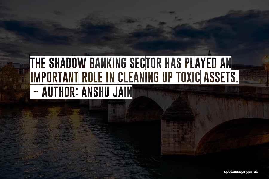 Banking Sector Quotes By Anshu Jain