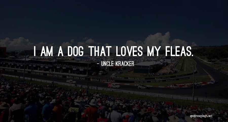 Bankole Akinbinu Quotes By Uncle Kracker