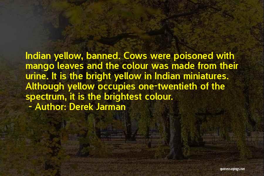 Banned Quotes By Derek Jarman