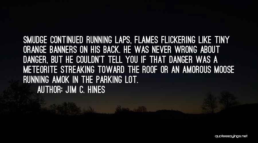 Banners Quotes By Jim C. Hines