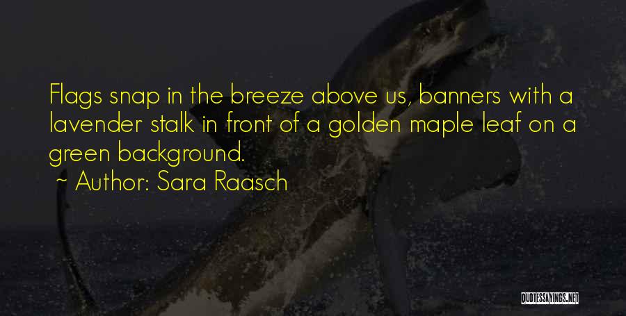 Banners Quotes By Sara Raasch