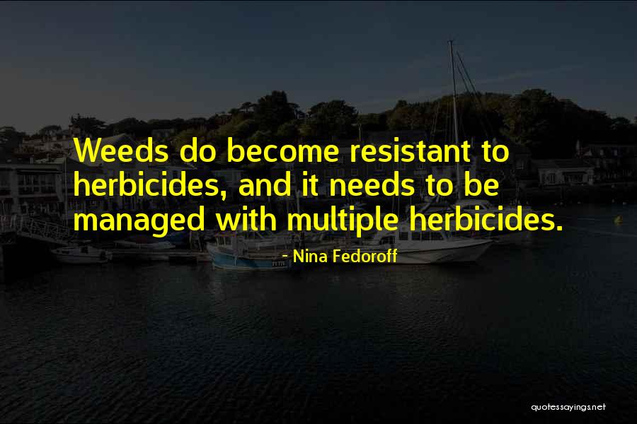 Banquero En Quotes By Nina Fedoroff Banquero En Quotes By Nina Fedoroff