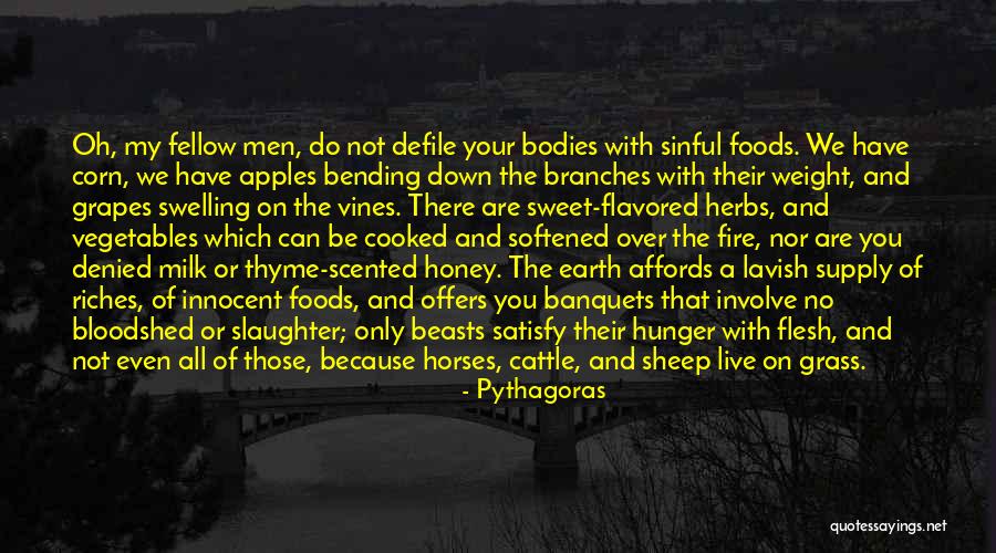 Banquets Quotes By Pythagoras Banquets Quotes By Pythagoras
