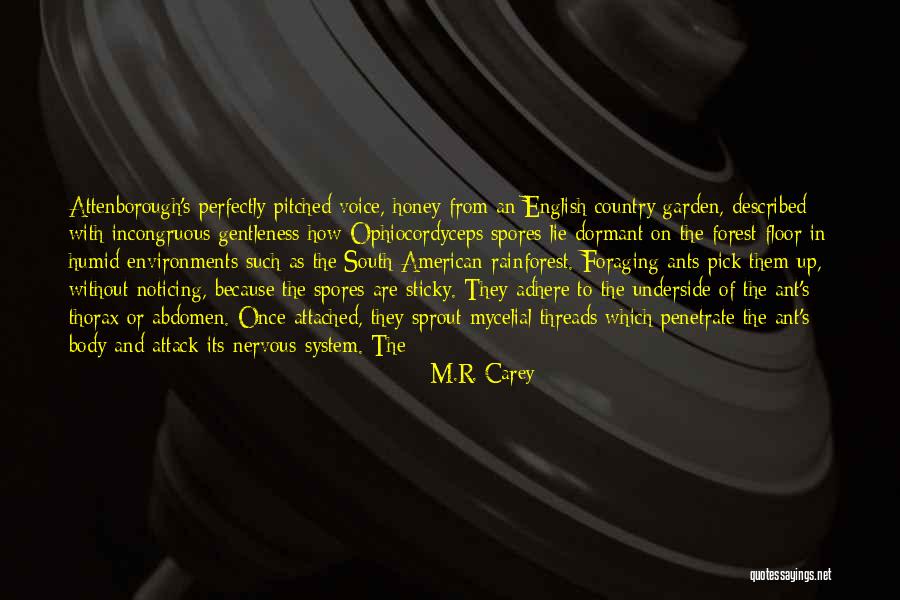 Banquette Design Quotes By M.R. Carey Banquette Design Quotes By M.R. Carey