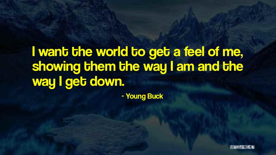 Banri Tada Quotes By Young Buck Banri Tada Quotes By Young Buck