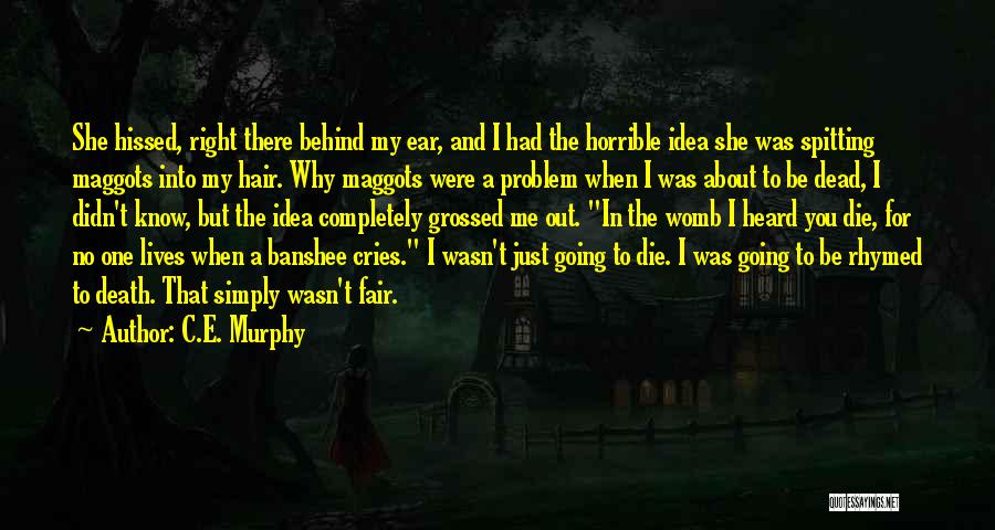 Banshee Quotes By C.E. Murphy