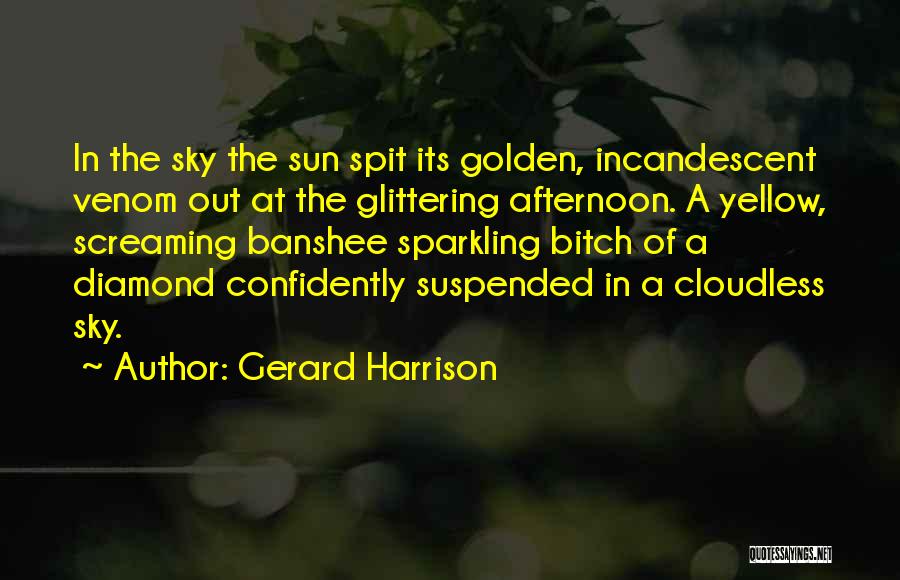 Banshee Quotes By Gerard Harrison