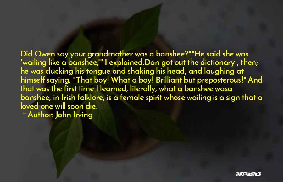 Banshee Quotes By John Irving