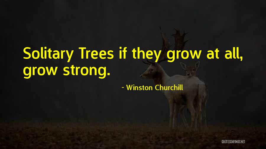 Bansuan G5 Quotes By Winston Churchill Bansuan G5 Quotes By Winston Churchill