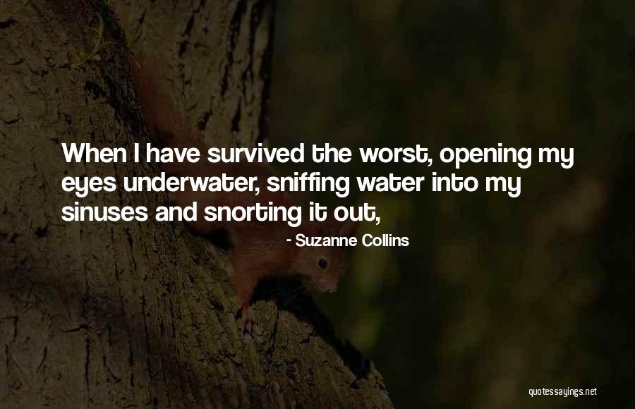 Banu Hashim Quotes By Suzanne Collins Banu Hashim Quotes By Suzanne Collins