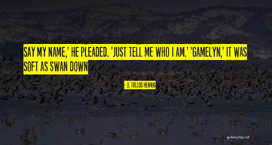 Banyaknya Bangunan Quotes By J. Tullos Hennig Banyaknya Bangunan Quotes By J. Tullos Hennig