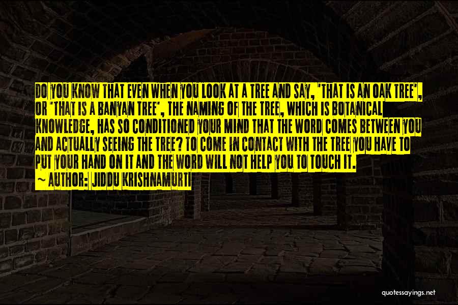 Banyan Quotes By Jiddu Krishnamurti